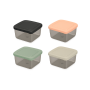 STORAGE CONTAINER 300 ML (4PCS)