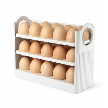 REFRIDERATOR EGG ORGANISER