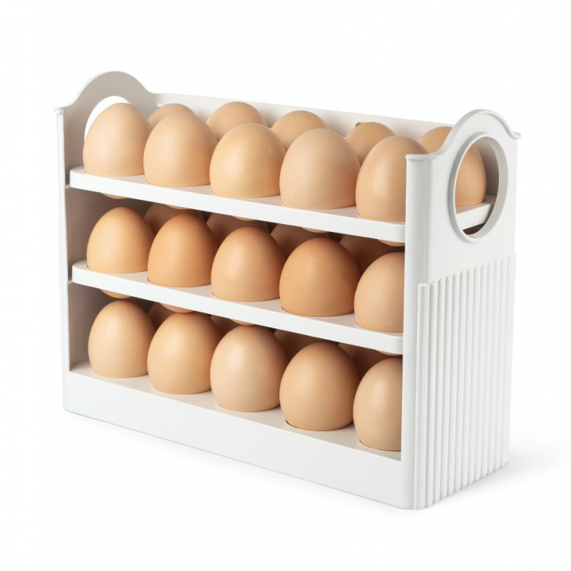 REFRIDERATOR EGG ORGANISER