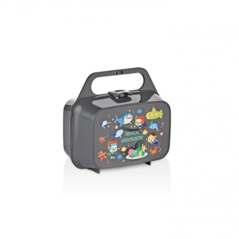 CARRY AND EAT LUNCH BOX
