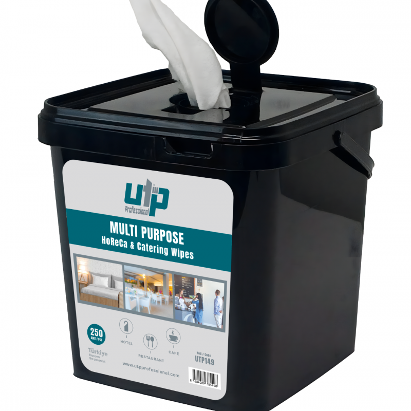 MULTI PURPOSE HORECA WIPES 250 PCS