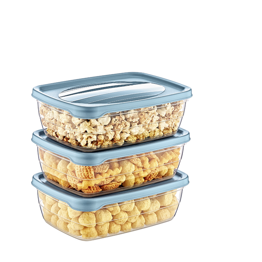 3* 0,3 LT TREND STORAGE BOX