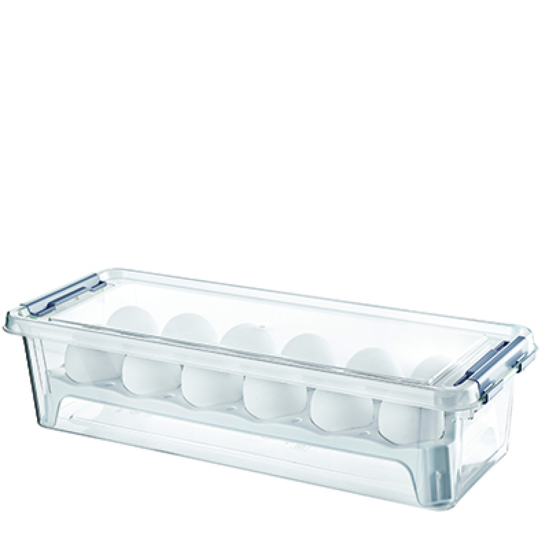 GRAND EGG STORAGE BOX