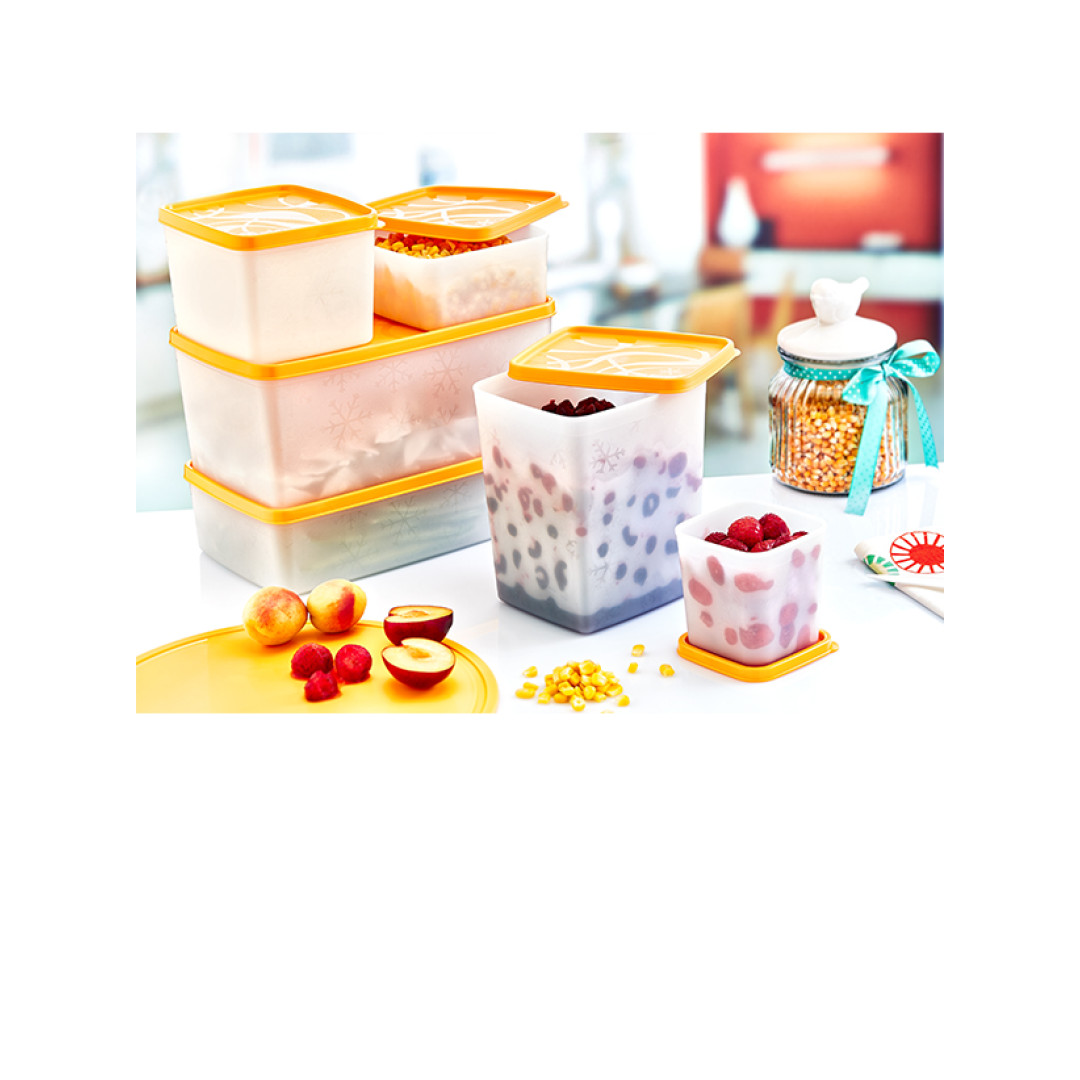 2000 ML  NO-FROST STORAGE BOX