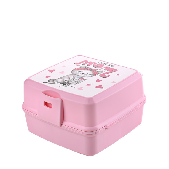 PREMIUM LUNCH BOX WITH FIGURED DESIGN