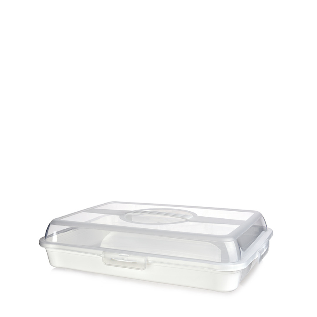 RECTANGLE CARRY BOX